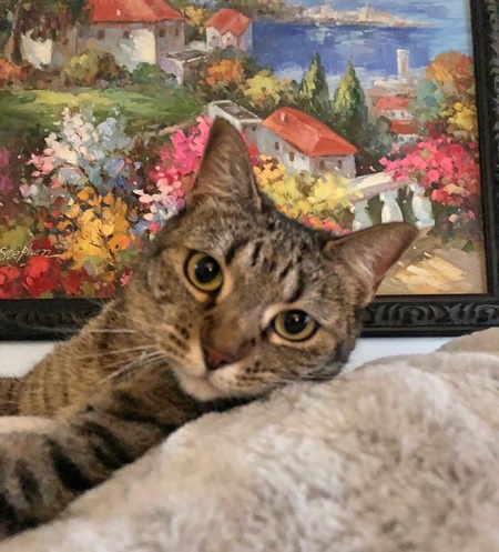 Entry image for Rosie. Clicking this image will show a larger photo