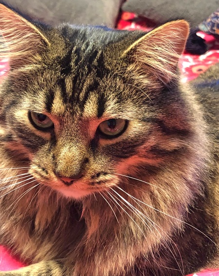 Entry image for Omar. Clicking this image will show a larger photo