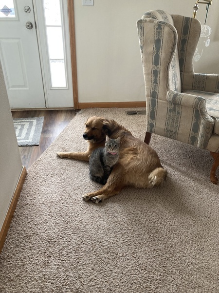 Entry image for Heidi&Pippin. Clicking this image will show a larger photo