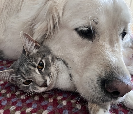 Entry image for Poppy and Nash. Clicking this image will show a larger photo