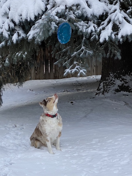 Entry image for Ryley. Clicking this image will show a larger photo