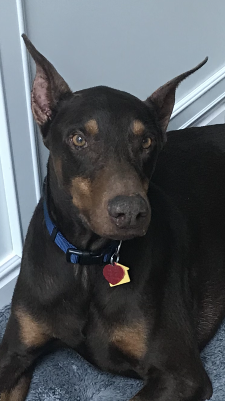 Entry image for Max. Clicking this image will show a larger photo