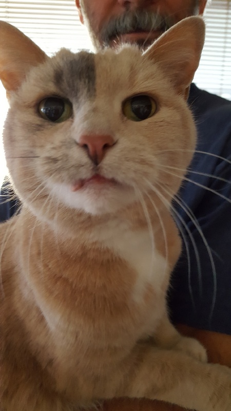 Entry image for Mo. Clicking this image will show a larger photo