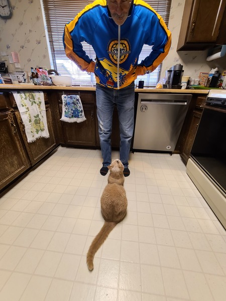 Entry image for Mo. Clicking this image will show a larger photo