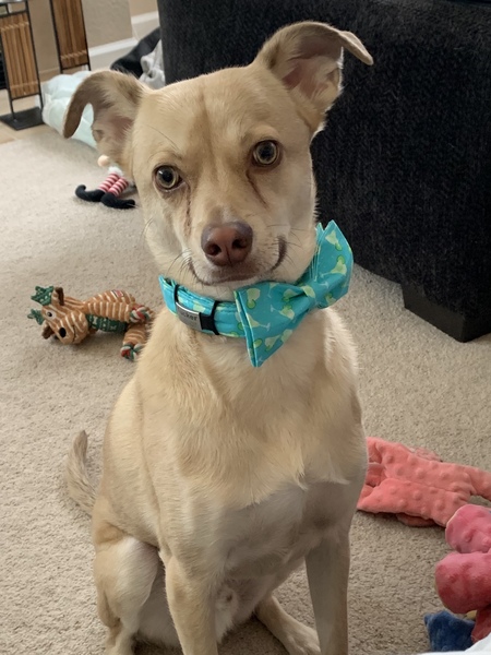 Entry image for Tucker. Clicking this image will show a larger photo