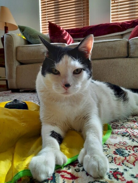 Entry image for Gary. Clicking this image will show a larger photo