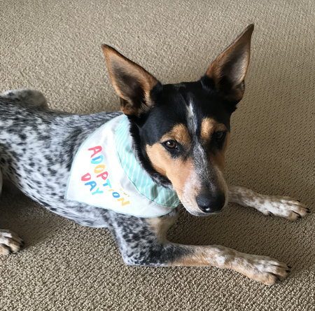 Entry image for Carly. Clicking this image will show a larger photo