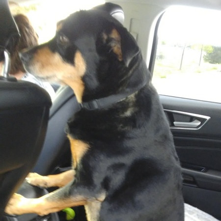 Entry image for Nolie . Clicking this image will show a larger photo