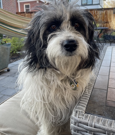 Entry image for Truffles. Clicking this image will show a larger photo