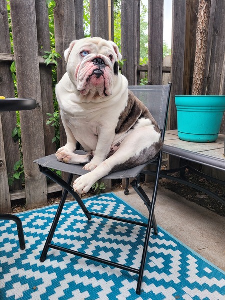 Entry image for Winchester . Clicking this image will show a larger photo