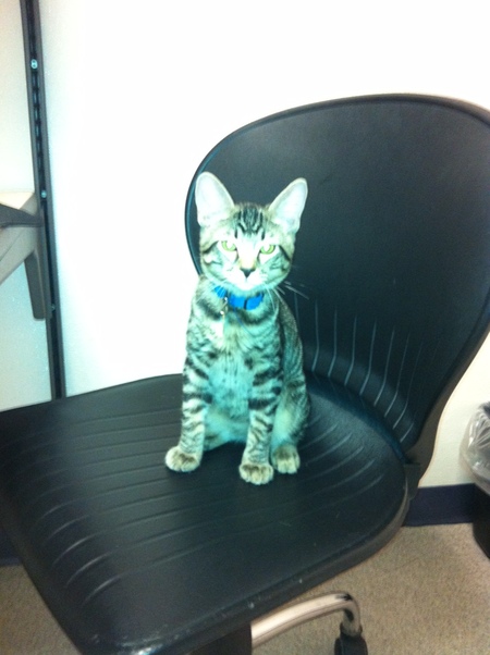 Entry image for Hughy . Clicking this image will show a larger photo