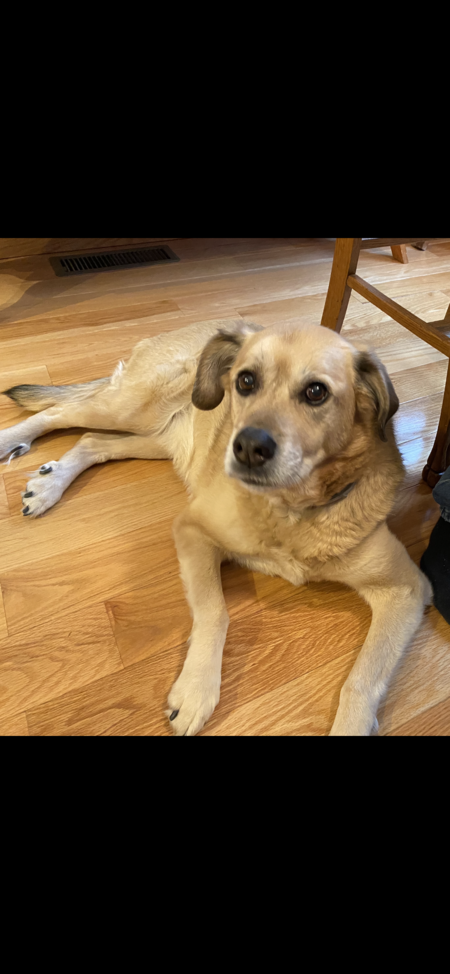 Entry image for Zosia. Clicking this image will show a larger photo