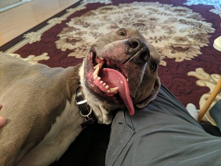 Entry image for Lady. Clicking this image will show a larger photo