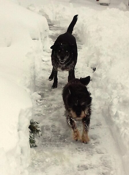 Entry image for Cindy & Skip. Clicking this image will show a larger photo