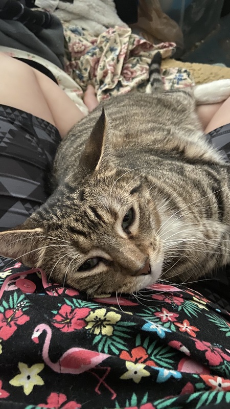 Entry image for Norton. Clicking this image will show a larger photo