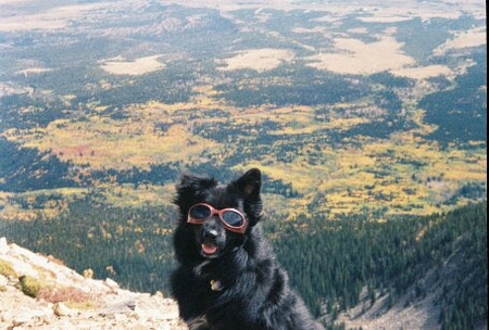 Entry image for Simon. Clicking this image will show a larger photo