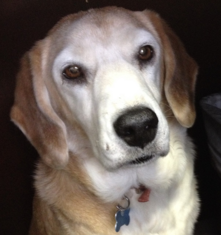 Winston