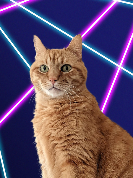 Franklin J. Scruffypants