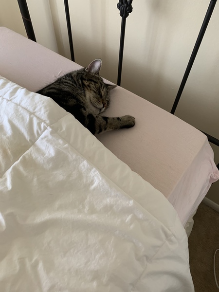 Oscar