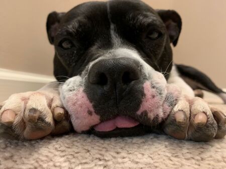 Millie