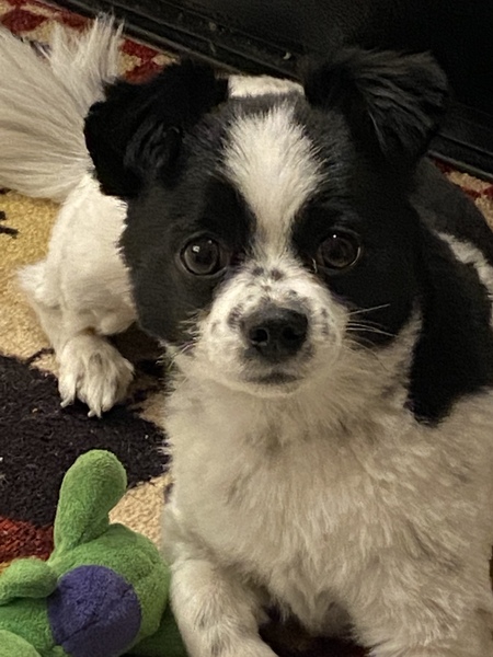 Jax