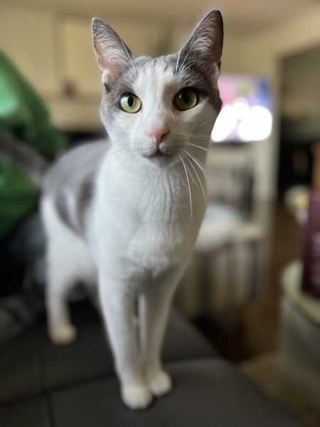 Mars