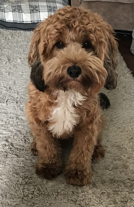 Charlie 