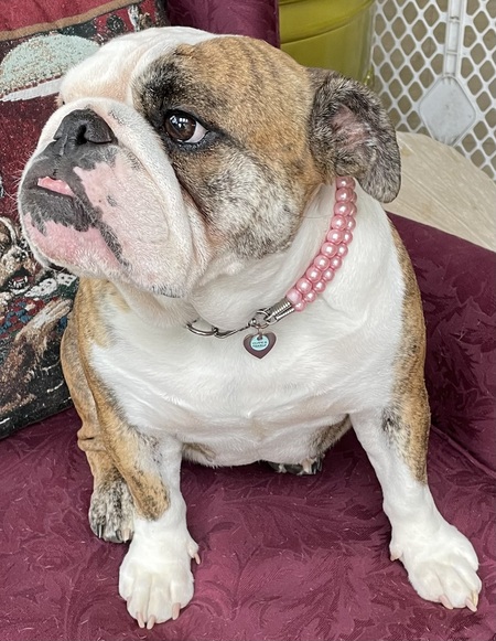 Lola