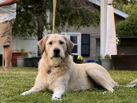 Sadie Mae