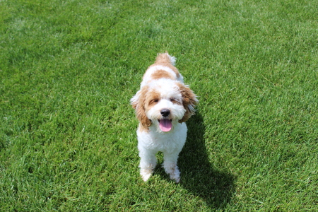 Winnie