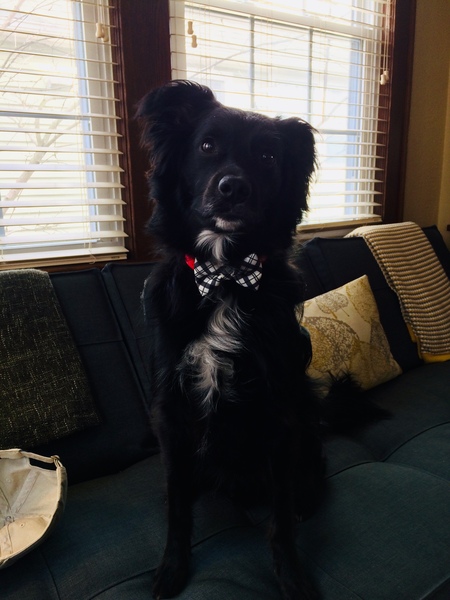 Arlo