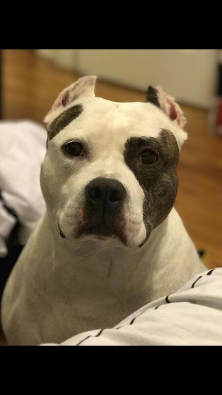 Leah