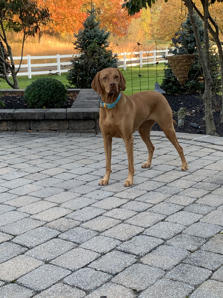 Esther