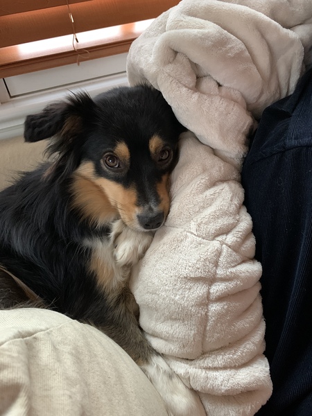 Niki