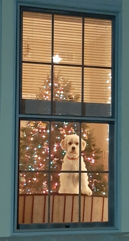 Charlie