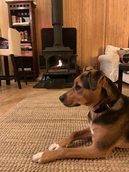 Finn 