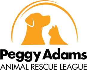 Logo for  Art from the Heart