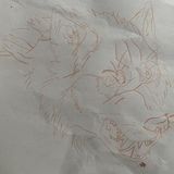 Entry image for Wolf
