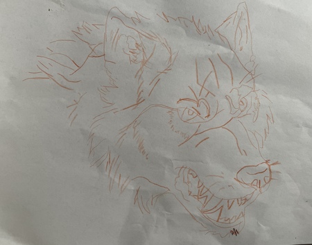 Entry image for Wolf. Clicking this image will show a larger photo