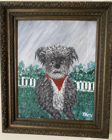 Entry image for My Rocco . Clicking this image will show a larger photo