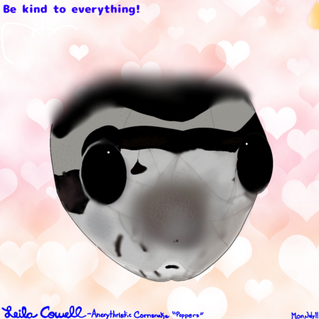 Entry image for Pepper the Corn Snake. Clicking this image will show a larger photo