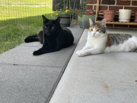 Eli and Lily