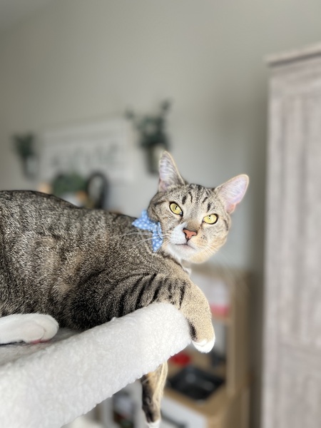 Ernie