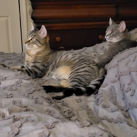 Timmy & Tilly