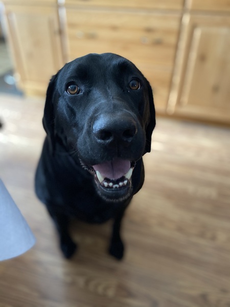 Elliott