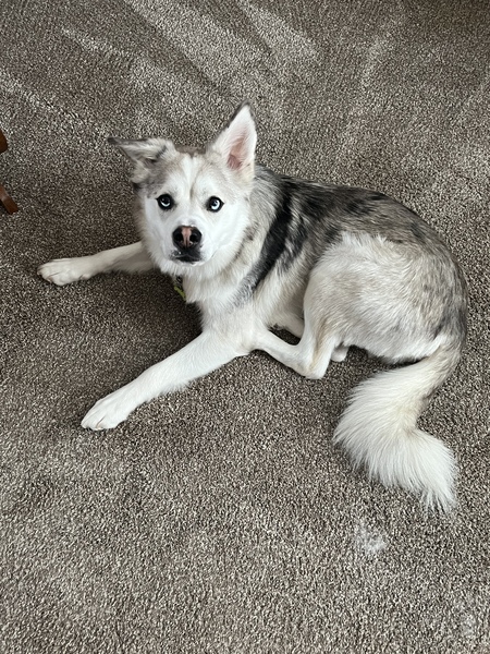 Romeo