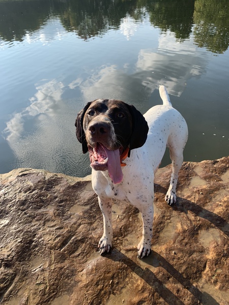 Sam