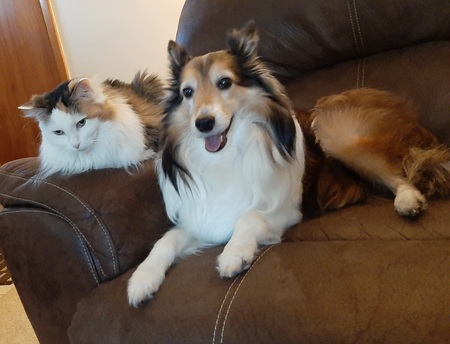 Daisy and Crosby
