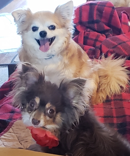 Charlie & Wilma