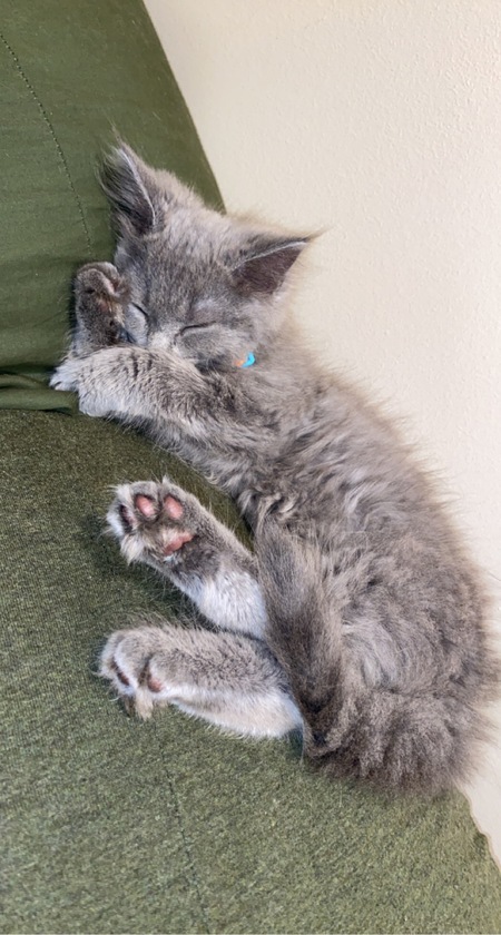 Binx